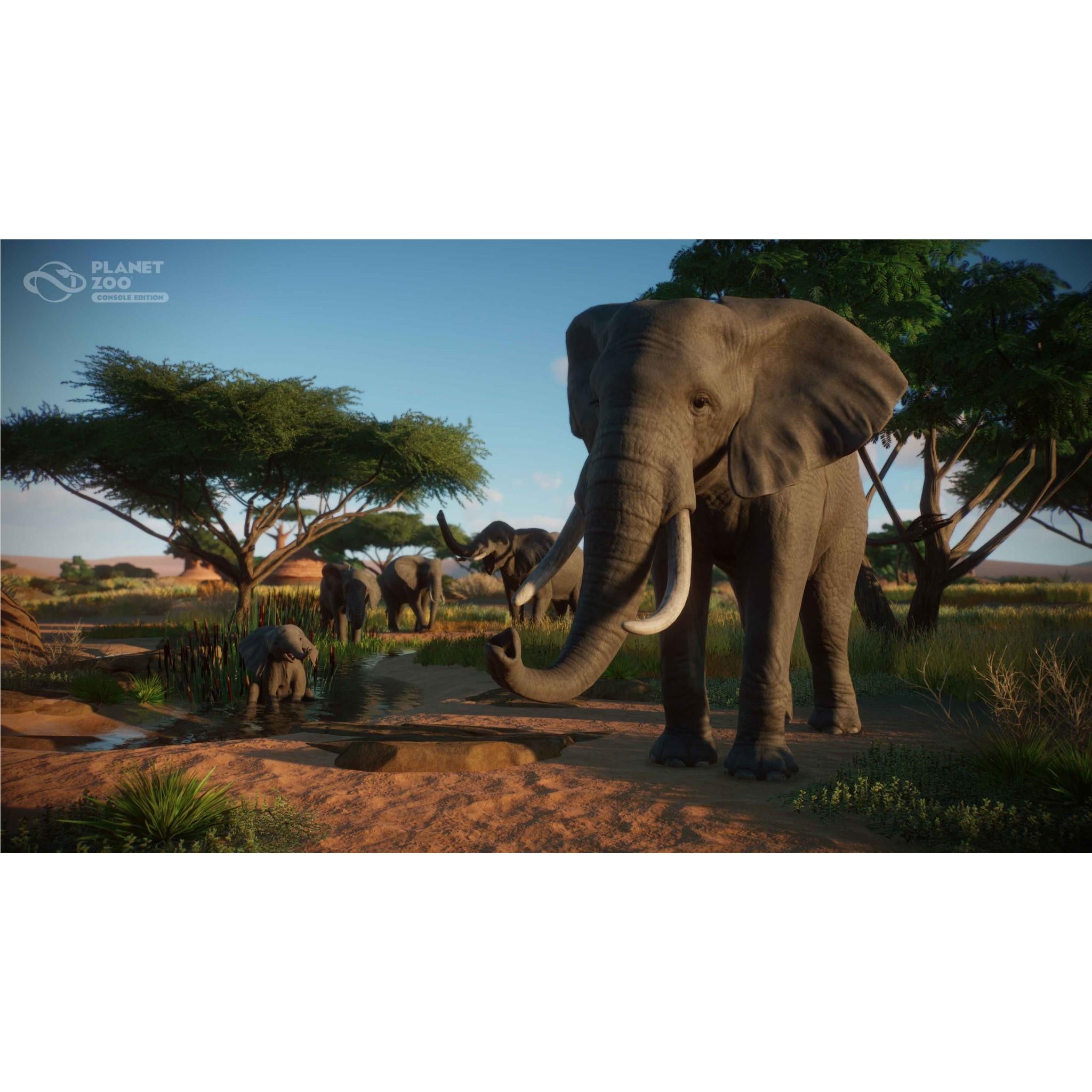 Planet Zoo: Console Edition